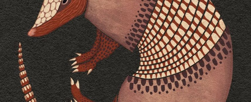 Daily Practices: “Spirit of the Armadillo”