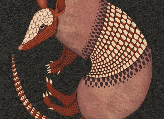 Практики дня «Дух Броненосца»