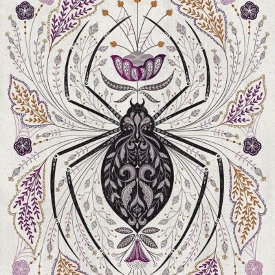 Daily Practices “Spirit of the Spider”