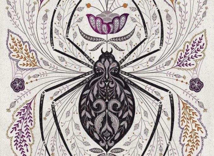 Daily Practices “Spirit of the Spider”