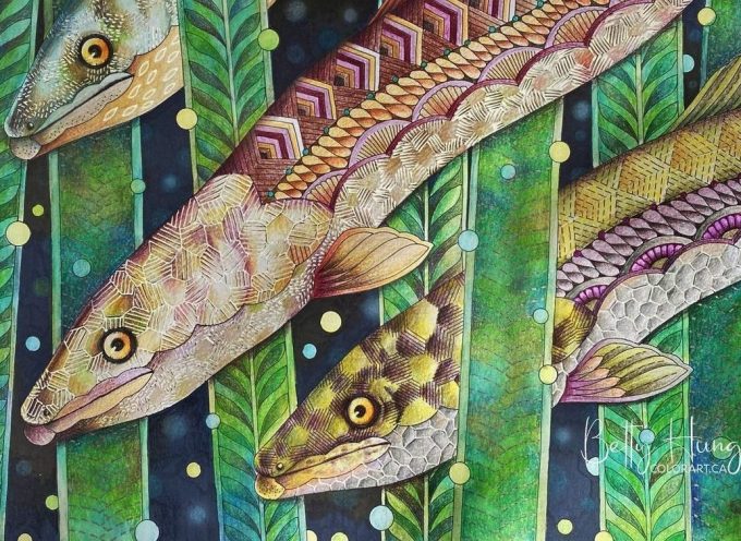 Daily Practices “Spirit of the Eel”