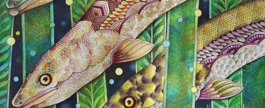 Daily Practices “Spirit of the Eel”