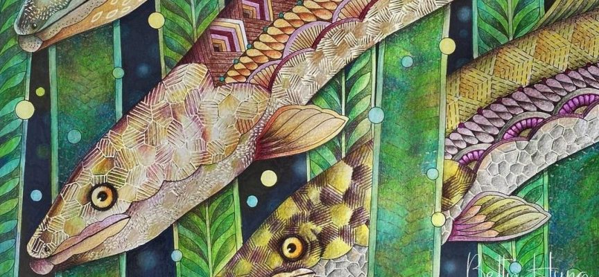 Daily Practices “Spirit of the Eel”