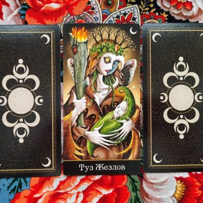 Magical Door for the Weekend of November 8–9, 2025