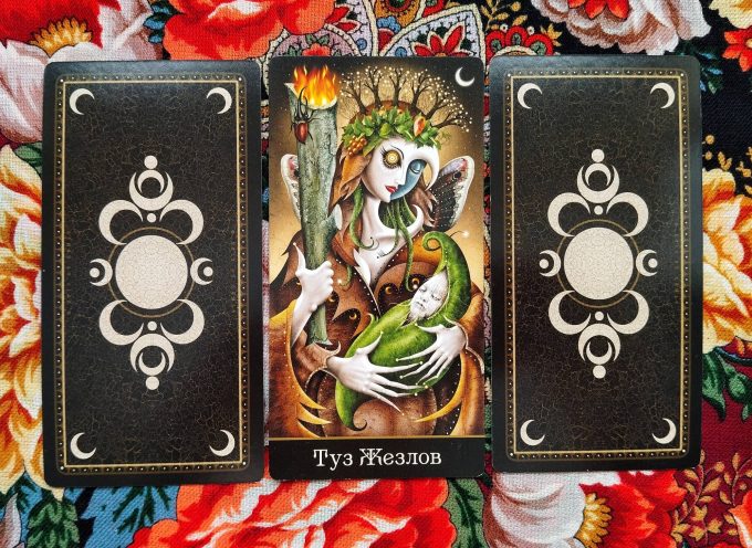 Magical Door for the Weekend of November 8–9, 2025