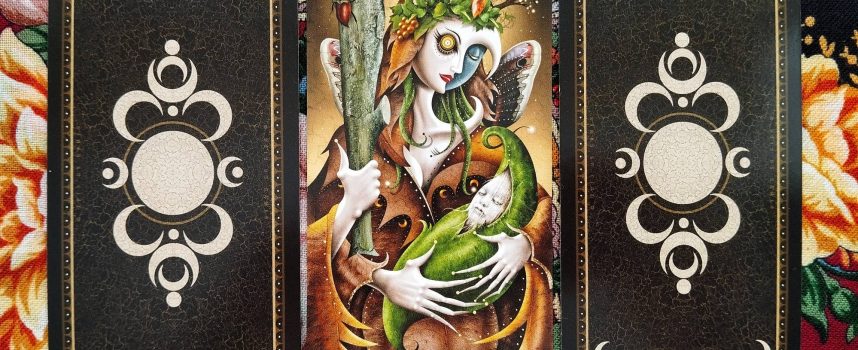 Magical Door for the Weekend of November 8–9, 2025