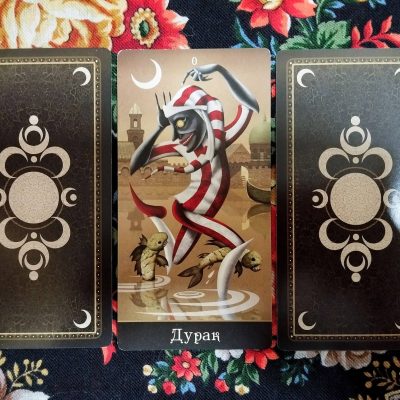 Magical Door for the Weekend of November 15-16, 2025