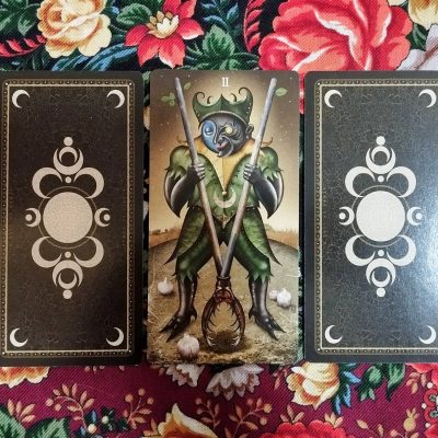 Magical Door for Monday, November 17, 2025