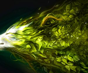 Toward Spring: Weekly Forecast for February 23 – March 1, 2026