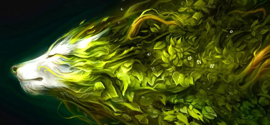 Toward Spring: Weekly Forecast for February 23 – March 1, 2026