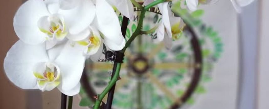Ритуал гармонизации пространства