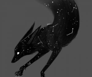 Daily Practice: “Spirit of the Jackal”