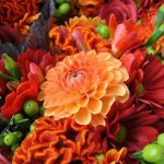 Аватар (lorso)