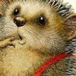 Аватар (irene)