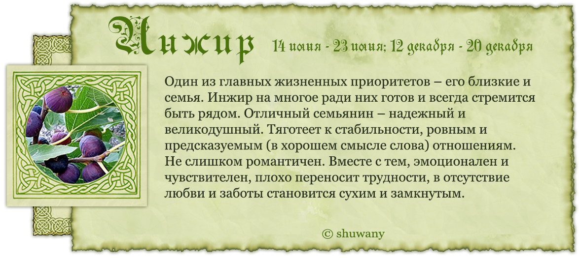 Проект Гороскопы - 2 тур Деревья - Кельтский (Тм Гуси-Лебеди) / Стихи.ру